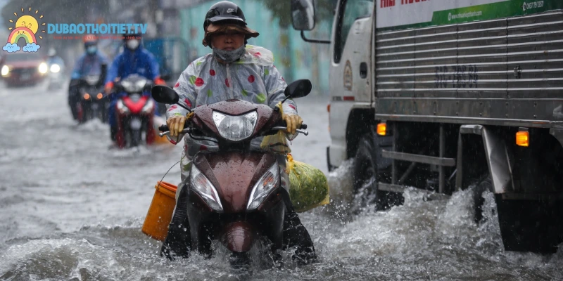 Giới thiệu DỰ BÁO THỜI TIẾT cập nhật kiến thức hữu ích